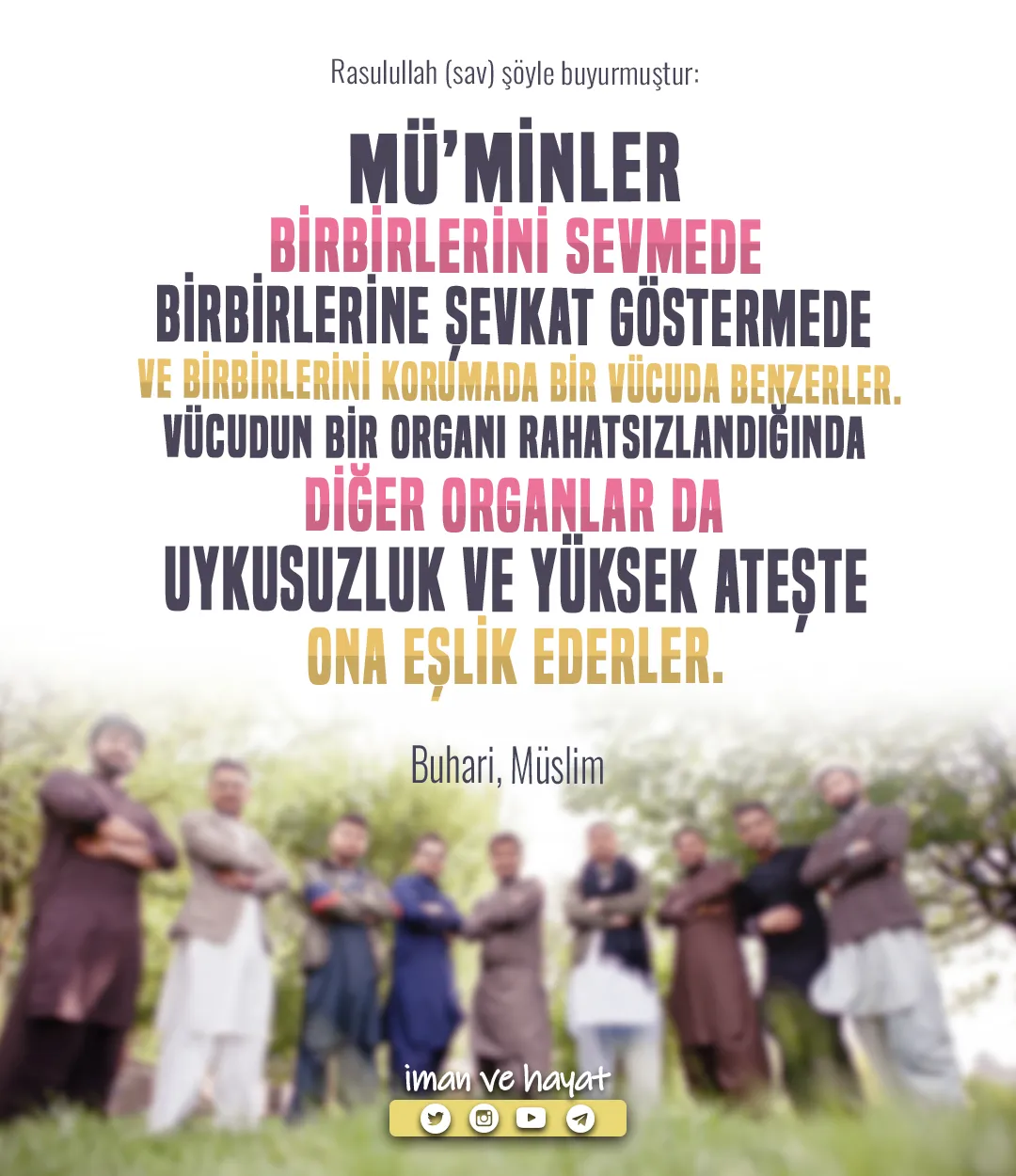 müminler vücud kopya