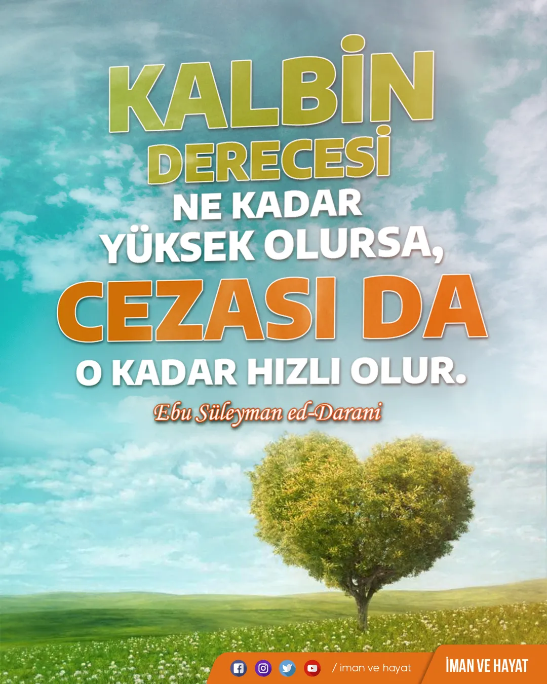 kalbin derecesi